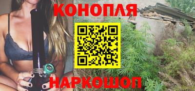 прущие грибы Обь