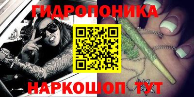 прущие грибы Обь