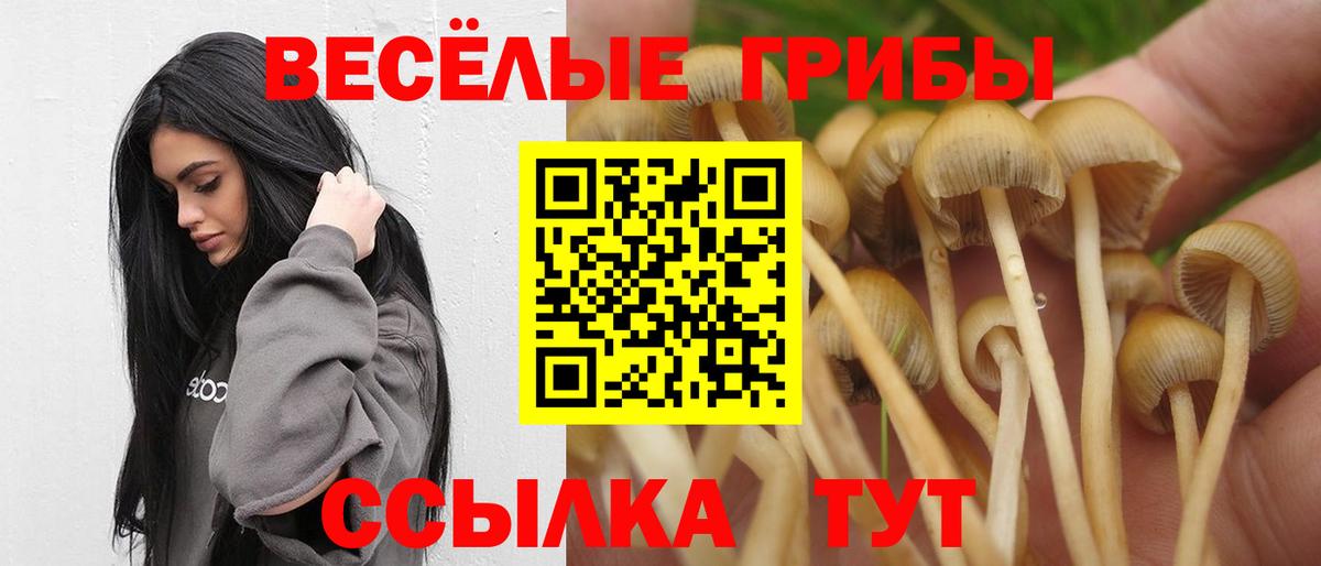 Псилоцибиновые грибы Magic Shrooms  Вход с VPN  Томск  Псилоцибиновые грибы Psilocybe 