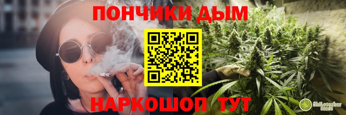 Канабис конопля Томск